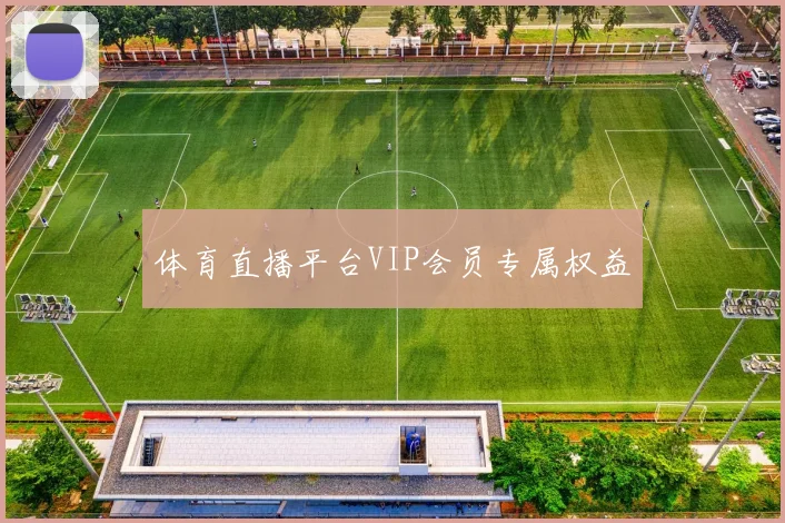 体育直播平台VIP会员专属权益