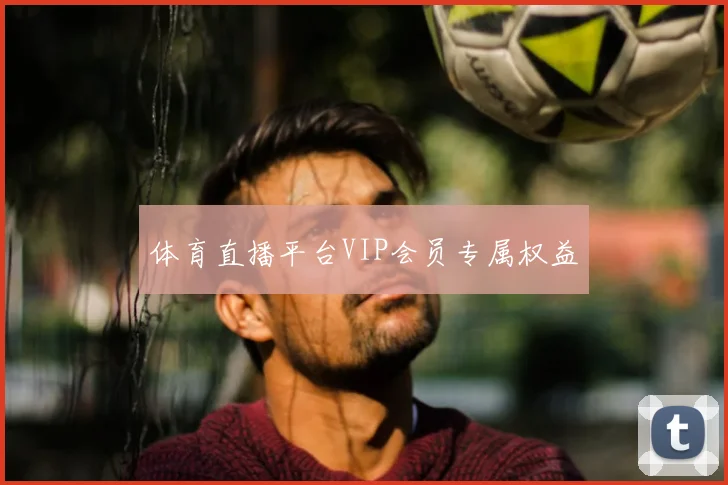 体育直播平台VIP会员专属权益
