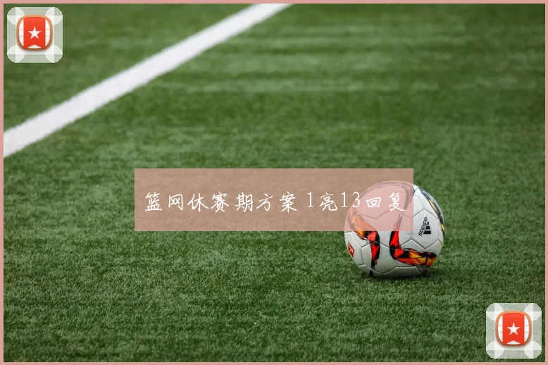 篮网休赛期方案 1亮13回复