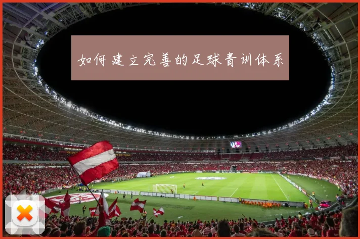 如何建立完善的足球青训体系