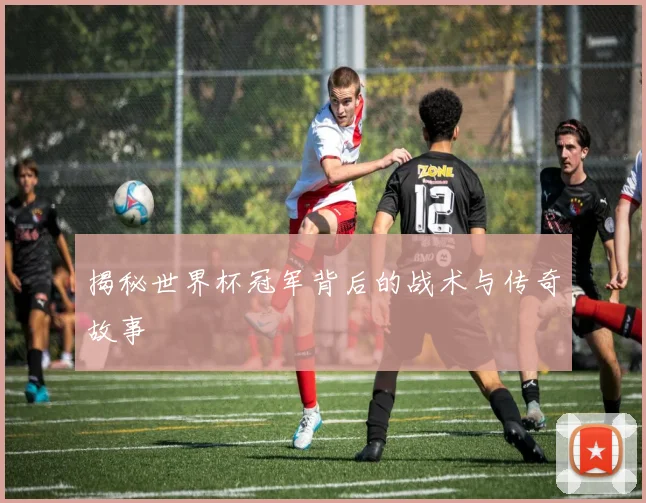 揭秘世界杯冠军背后的战术与传奇故事
