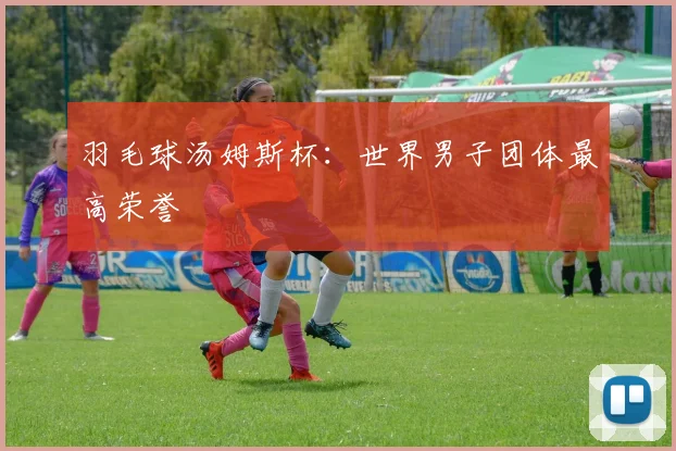 羽毛球汤姆斯杯:世界男子团体最高荣誉