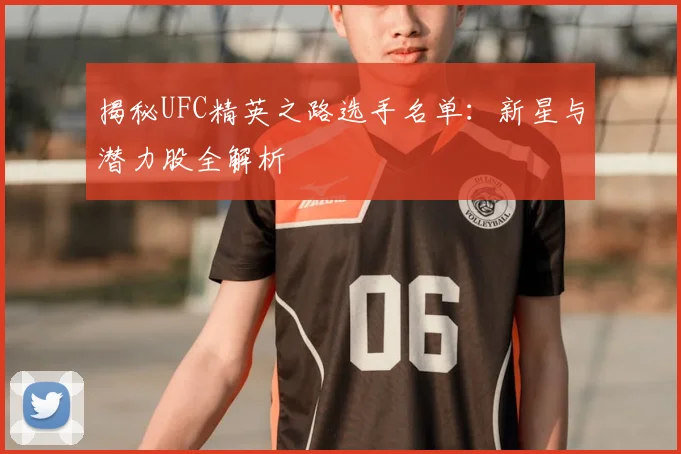 揭秘UFC精英之路选手名单:新星与潜力股全解析